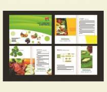 產(chǎn)品樣本設(shè)計(jì)制作 圖文設(shè)計(jì)驅(qū)動(dòng)熱賣促銷的關(guān)鍵